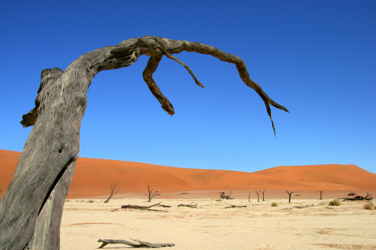 Pobřeží kostlivců, Namibie