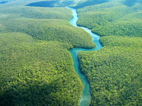 Amazonské pralesy - 7 přírodních divů světa