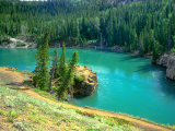 Yukon - volání divočiny