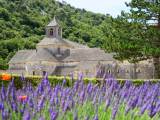 Abbaye de Sénanque - klášter mezi levandulemi