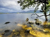 Národní park Killarney