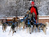 Skijöring – vyvenčete psa i sebe