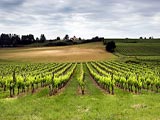 Bordeaux - vznešený domov nejznámějšího červeného vína