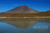 Altiplano, Bolívie