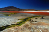 Altiplano, Bolívie