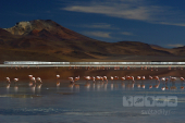 Altiplano, Bolívie
