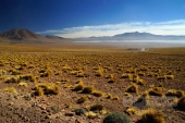 Altiplano, Bolívie