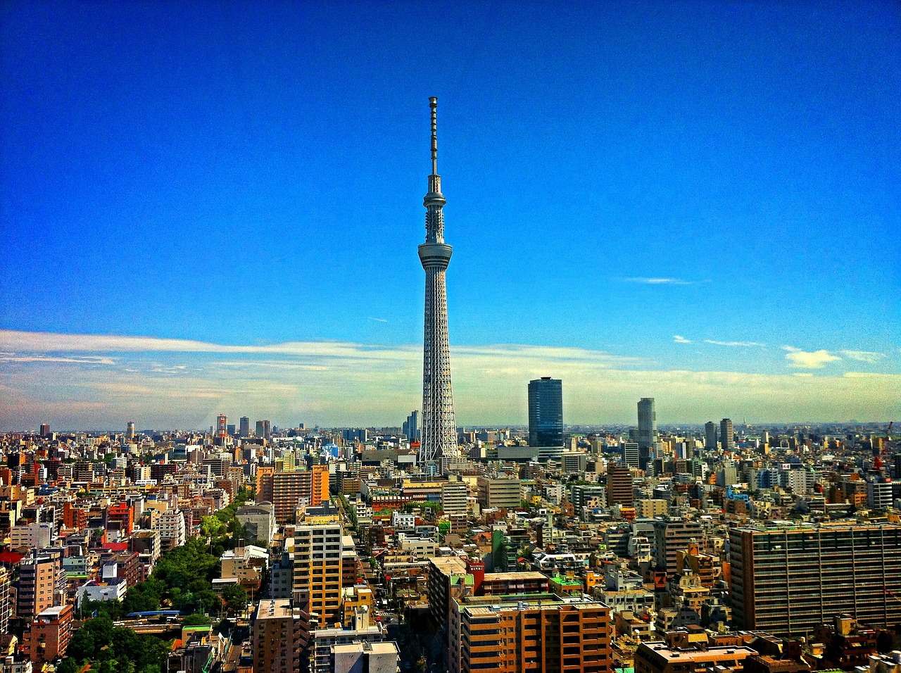 Tokyo Tower, Japonsko
